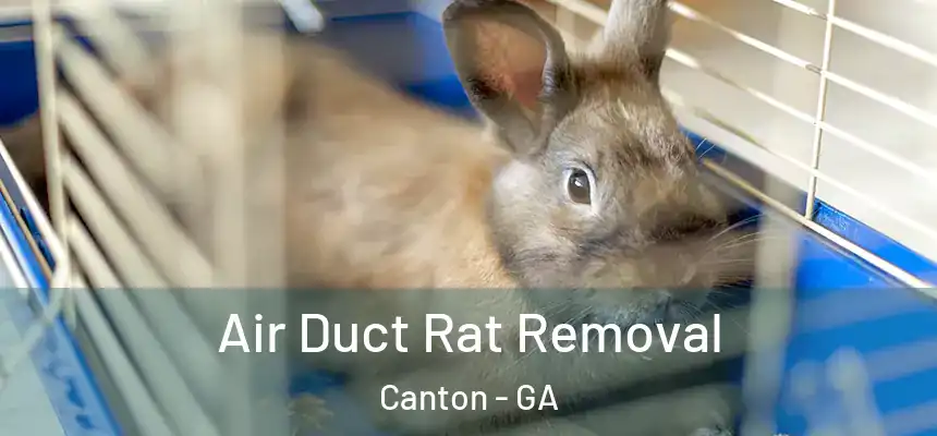  Air Duct Rat Removal Canton - GA