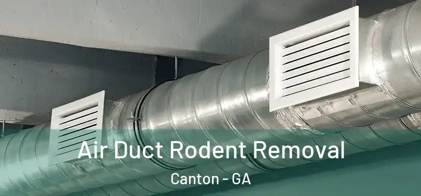  Air Duct Rodent Removal Canton - GA