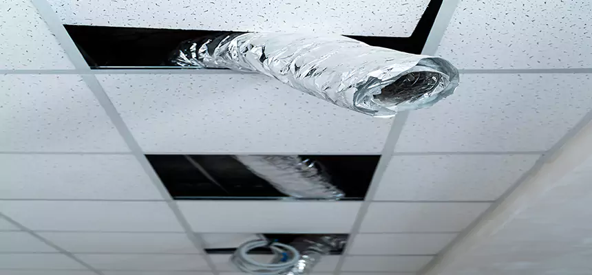 Our Air Duct Pet Hair Removal Services in Canton, GA