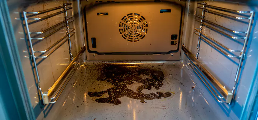 Our Dryer Vent Mold Cleaning Services in Canton, GA