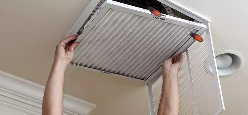 Our Insect Removal from Air Ducts Services in Canton, GA