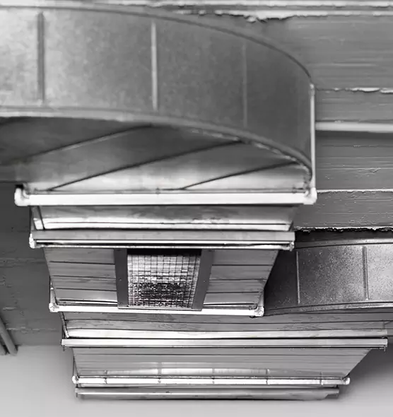 Professional Air Duct Pest Removal in Canton, GA