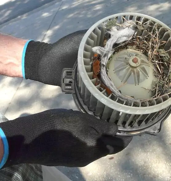 About Air Duct Rat Removal in Canton, GA