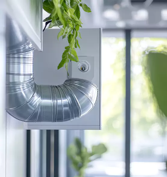 Professional Eco-Friendly Duct Cleaning Services in Canton, GA