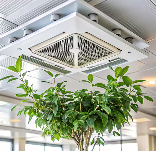 Why Homeowners & Businesses Trust Us in Canton, GA?