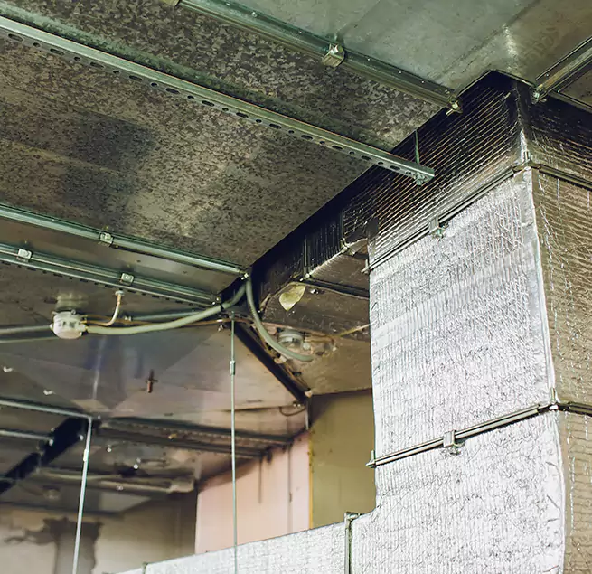 Why Homeowners & Businesses Trust Us in Canton, GA?